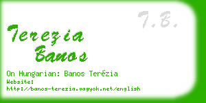 terezia banos business card